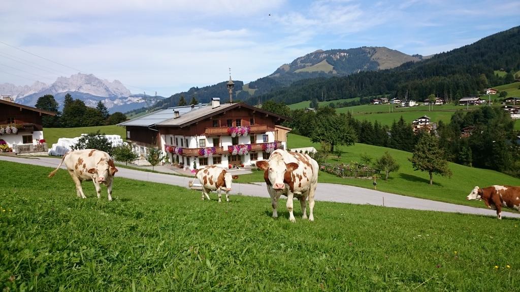 Bio-Bauernhof Niederlehen Fieberbrunn Exterior foto